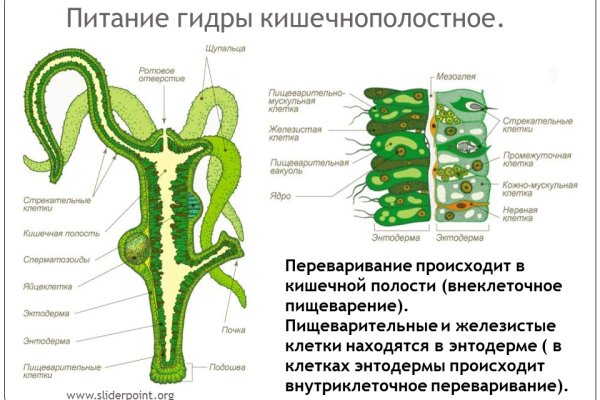 Кракен площадка вход