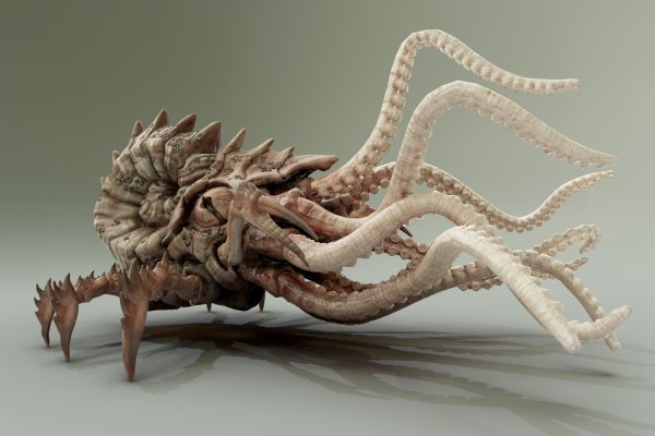 Kraken сайт даркнет