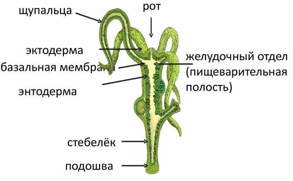 Как зарегаться на кракене